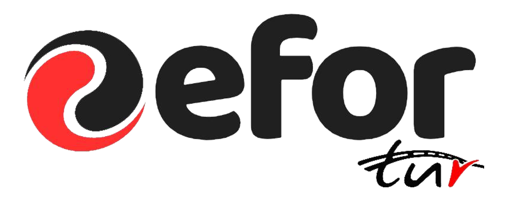 Efor Tur Servis Taşımacılığı